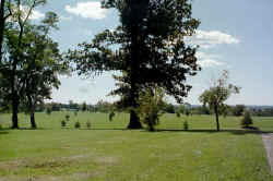 Laurel Oaks Golf Course